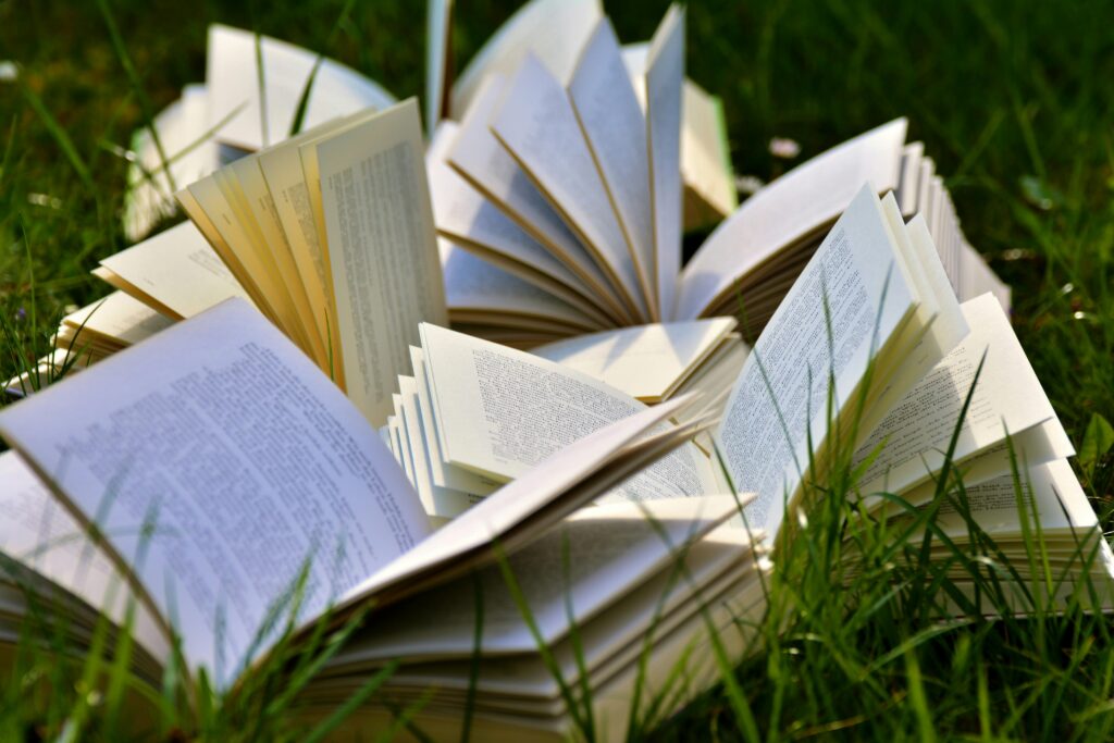Ganhar dinheiro com literatura